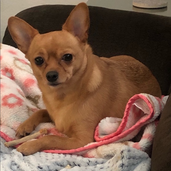 💋MY INFO💋 - Picture 3 of 4